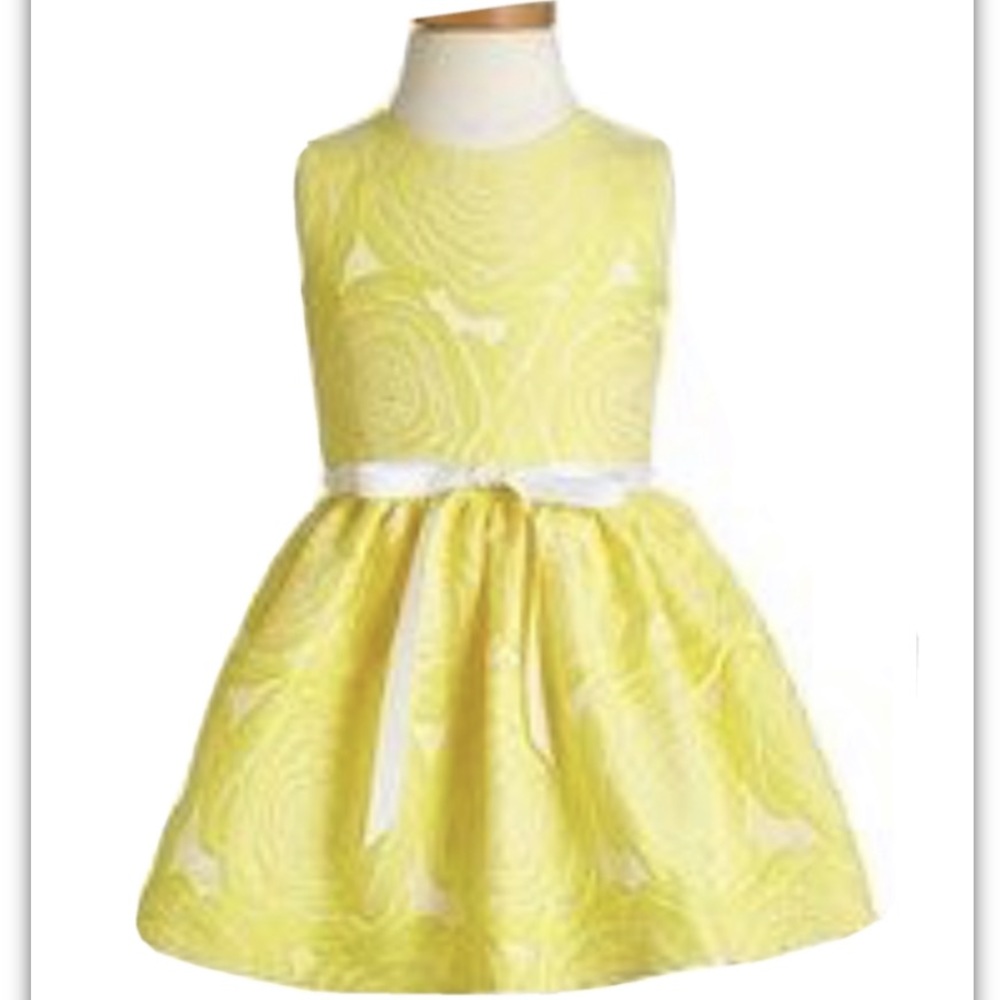 Halabaloo Rose Jacquard Dress